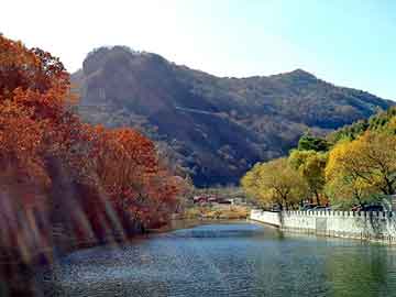 新澳门期期准精准，河南新闻学院